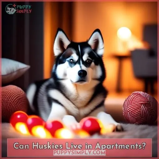 Can Huskies Live in Apartments