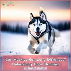 can huskies run long distances