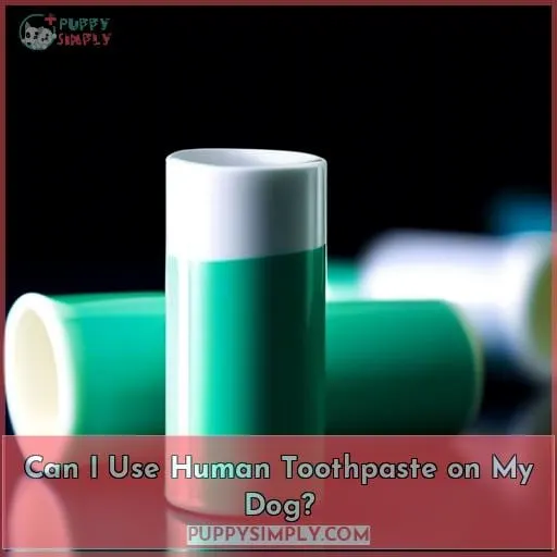 Can I Use Human Toothpaste on My Dog