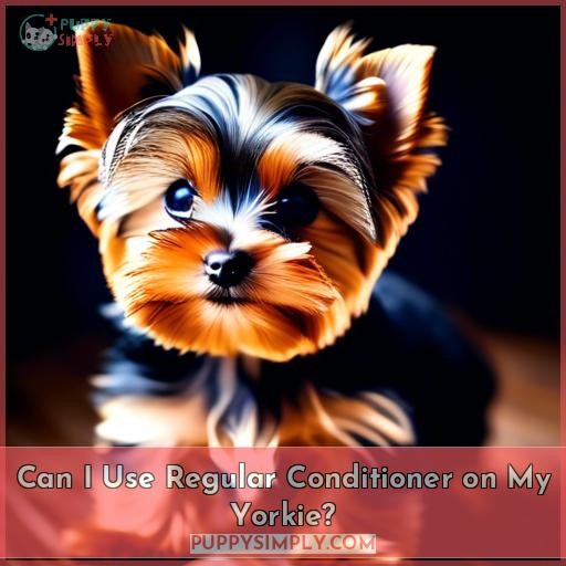 Can I Use Regular Conditioner on My Yorkie