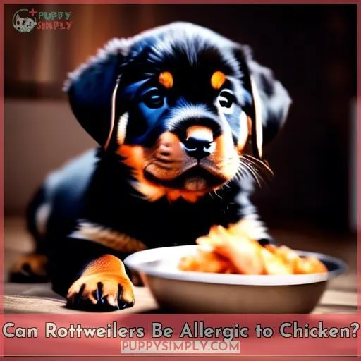 Can Rottweilers Be Allergic to Chicken