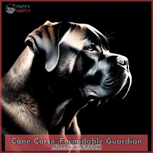 Cane Corso: Formidable Guardian