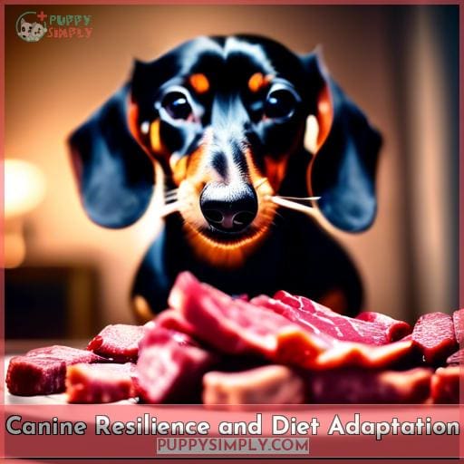 Canine Resilience and Diet Adaptation