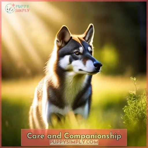 Care and Companionship