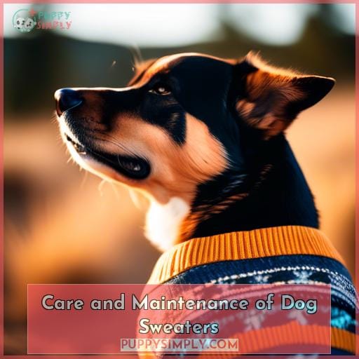 Care and Maintenance of Dog Sweaters