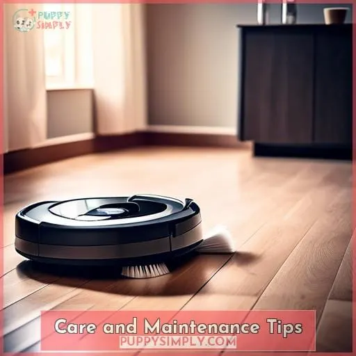 Care and Maintenance Tips