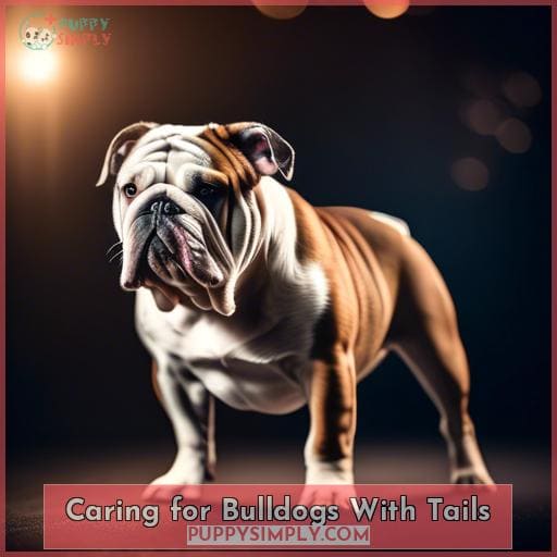 Caring for Bulldogs With Tails