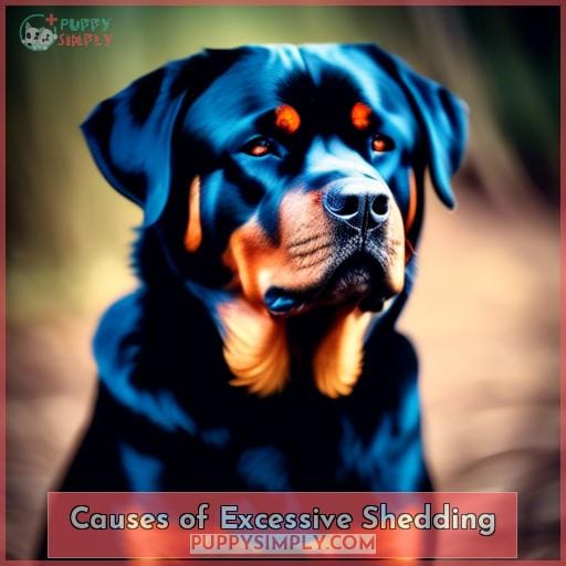 Causes of Excessive Shedding
