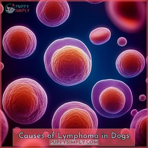 Causes of Lymphoma in Dogs