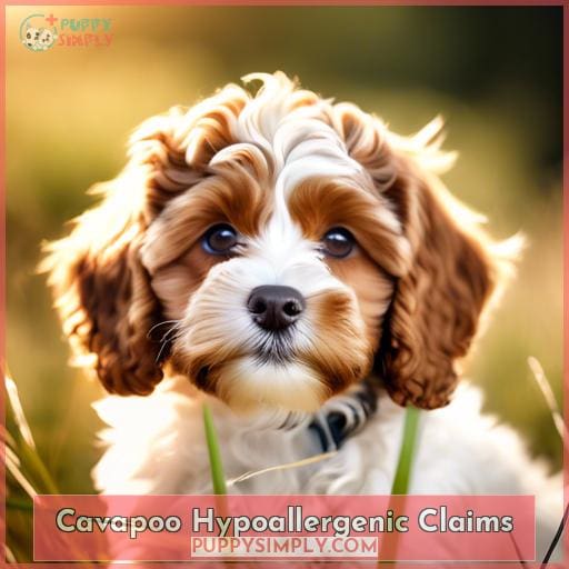 Cavapoo Hypoallergenic Claims