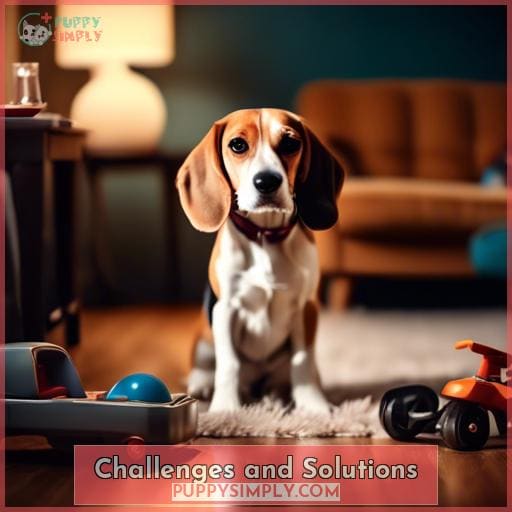 Challenges and Solutions
