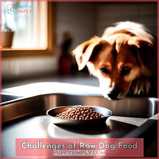 Challenges of Raw Dog Food
