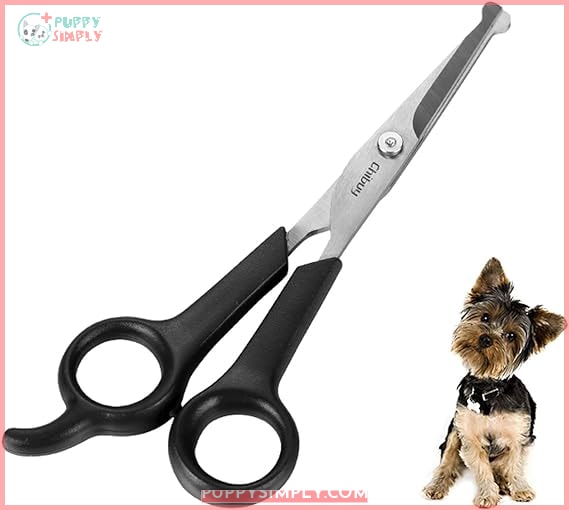 Chibuy Professional Pet Grooming Scissors