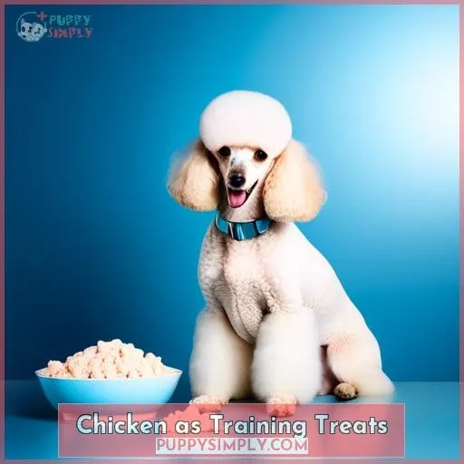 Chicken as Training Treats