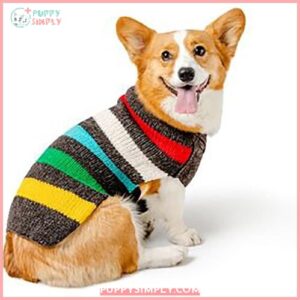 Chilly Dog Charcoal Striped Wool