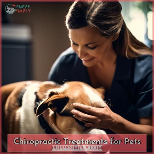 Chiropractic Treatments for Pets