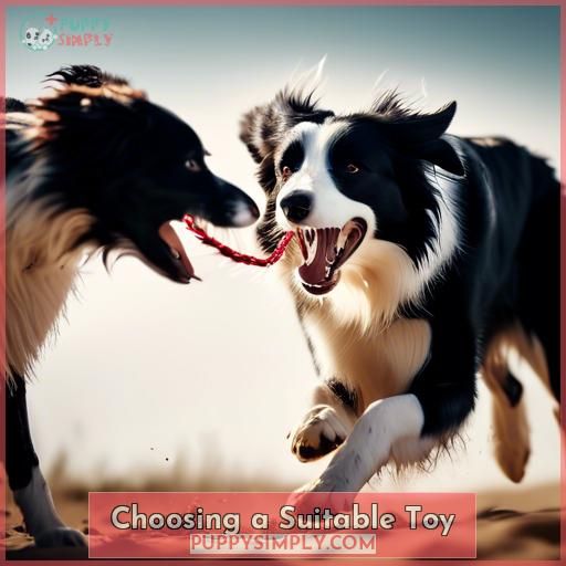 Choosing a Suitable Toy