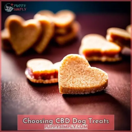 Choosing CBD Dog Treats
