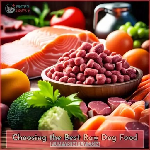 Choosing the Best Raw Dog Food