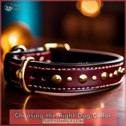 Choosing the Right Dog Collar