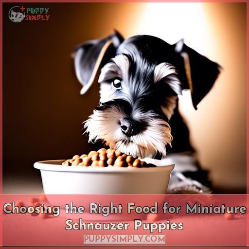 Choosing the Right Food for Miniature Schnauzer Puppies