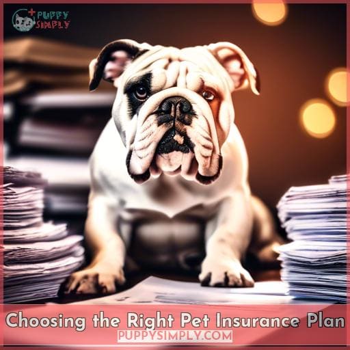 Choosing the Right Pet Insurance Plan