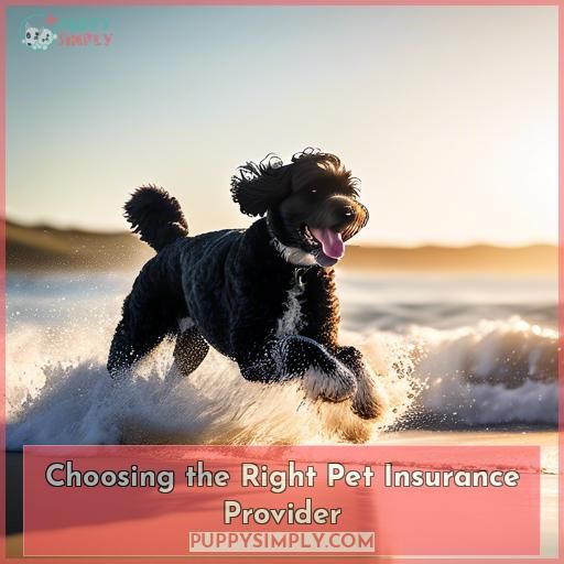Choosing the Right Pet Insurance Provider