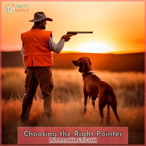 Choosing the Right Pointer