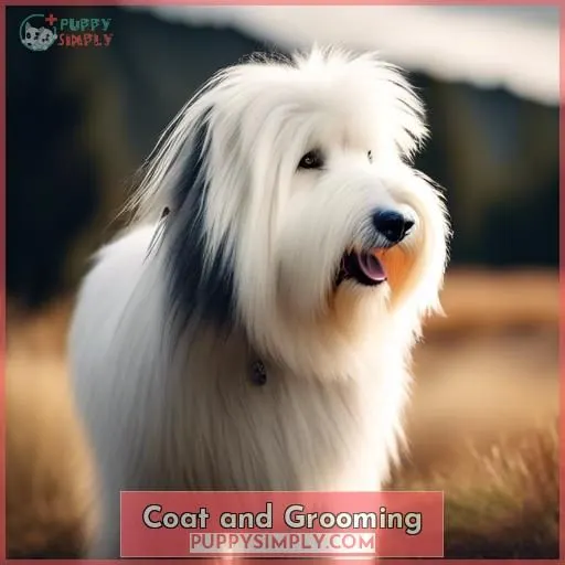 Coat and Grooming