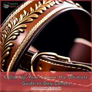 collar for dogs