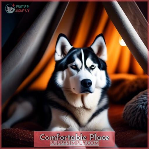 Comfortable Place Comfortable Place
