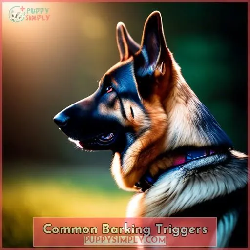 Common Barking Triggers