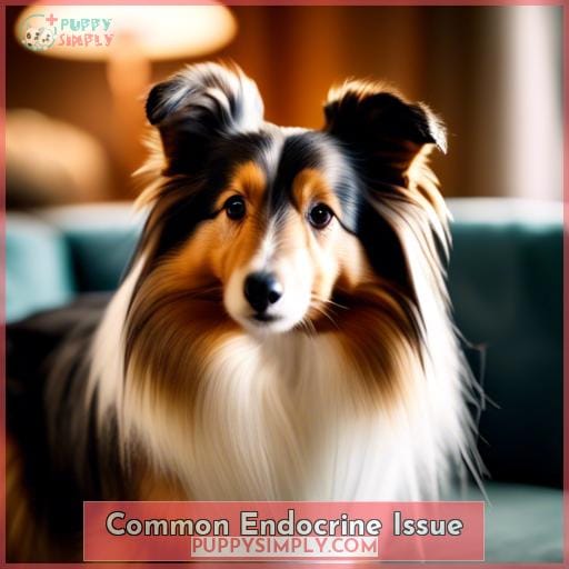 Common Endocrine Issue