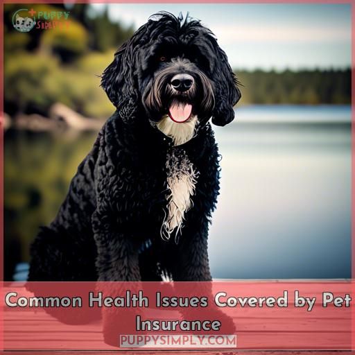 Common Health Issues Covered by Pet Insurance