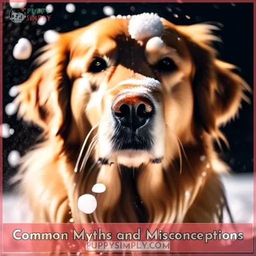 Common Myths and Misconceptions