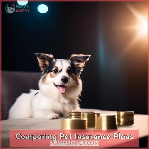 Comparing Pet Insurance Plans
