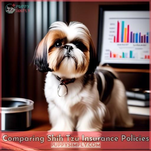 Comparing Shih Tzu Insurance Policies