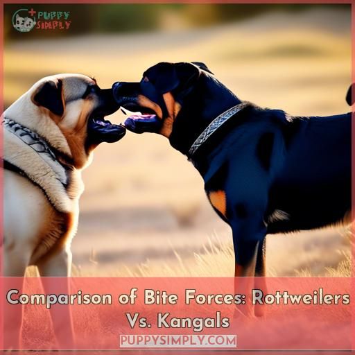 Comparison of Bite Forces: Rottweilers Vs. Kangals