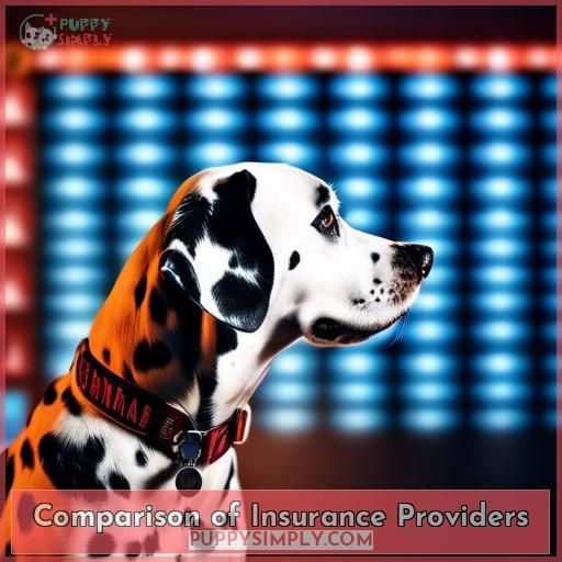 Comparison of Insurance Providers