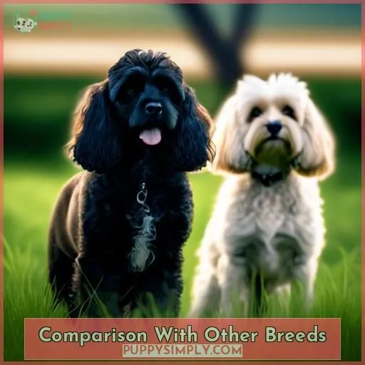 Comparison With Other Breeds