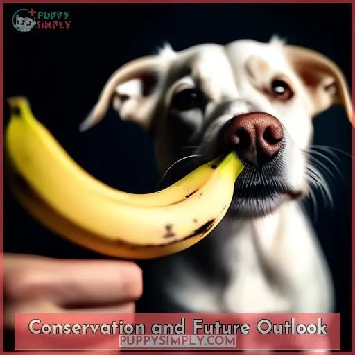 Conservation and Future Outlook