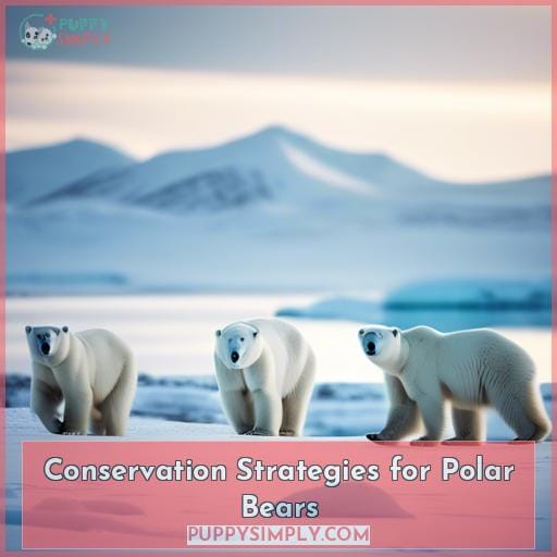 Conservation Strategies for Polar Bears