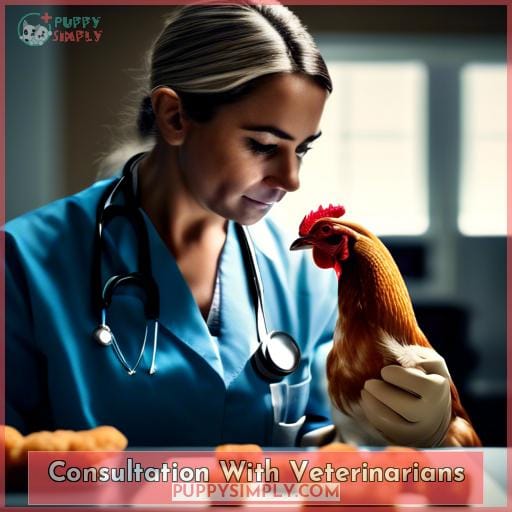 Consultation With Veterinarians