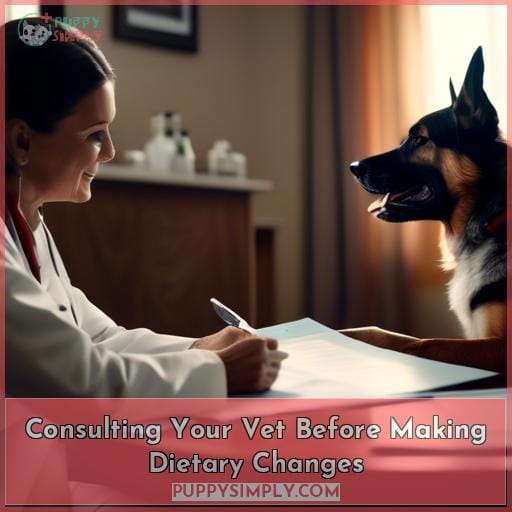 Consulting Your Vet Before Making Dietary Changes