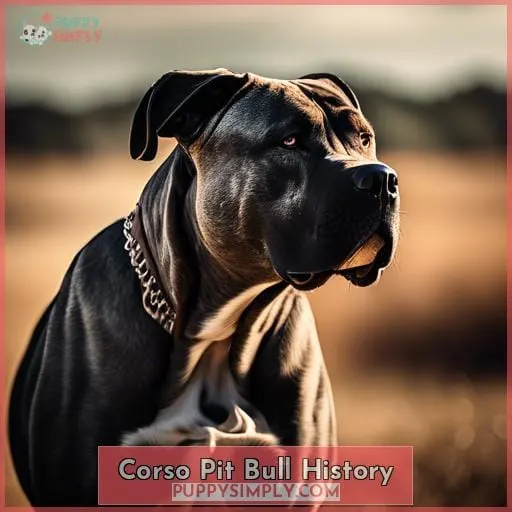 Corso Pit Bull History