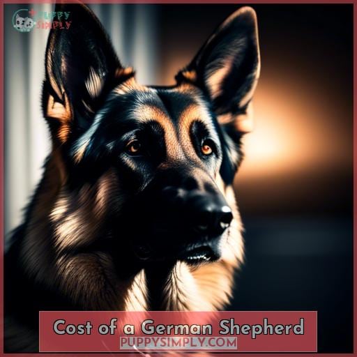 Cost of a German Shepherd