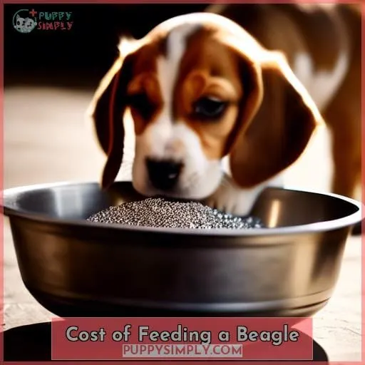 Cost of Feeding a Beagle
