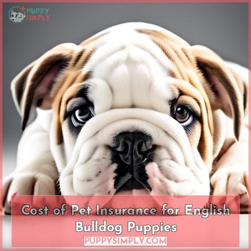 Cost of Pet Insurance for English Bulldog Puppies