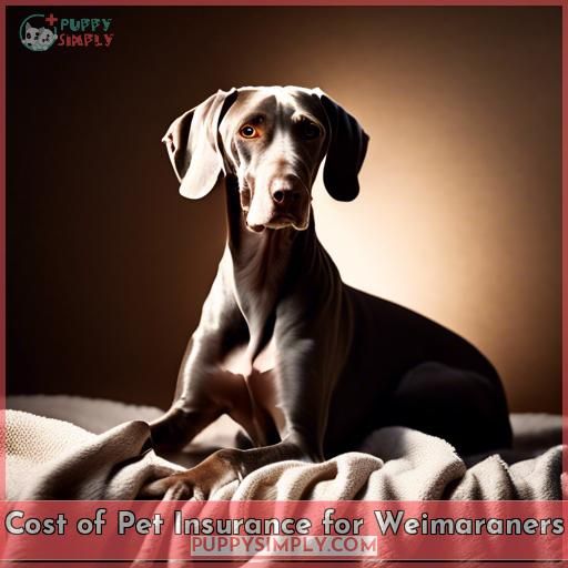 Cost of Pet Insurance for Weimaraners