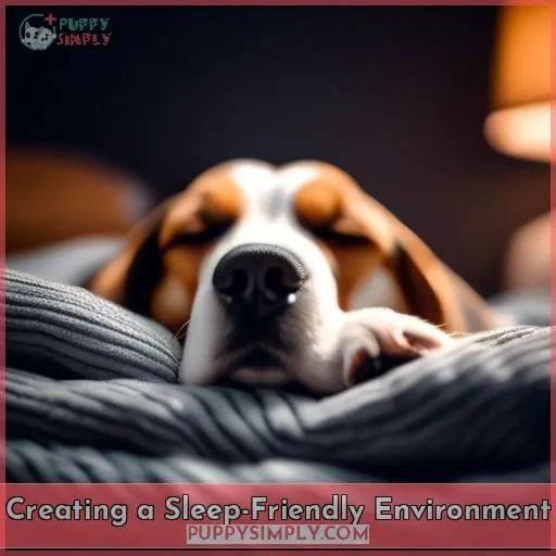 Creating a Sleep-Friendly Environment